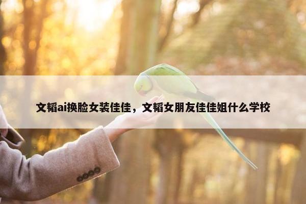 文韬ai换脸女装佳佳，文韬女朋友佳佳姐什么学校