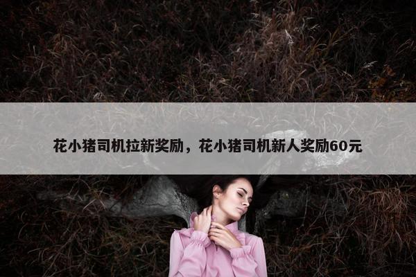 花小猪司机拉新奖励，花小猪司机新人奖励60元