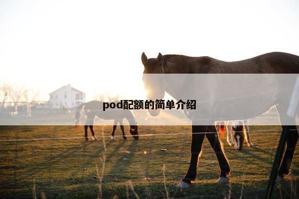 pod配额的简单介绍