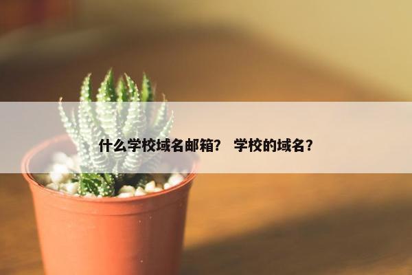 什么学校域名邮箱？ 学校的域名？