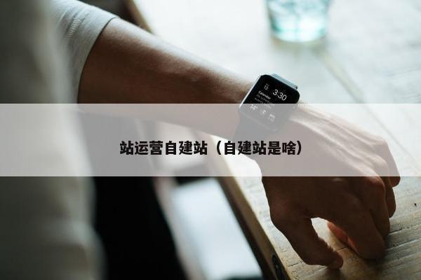 站运营自建站（自建站是啥）