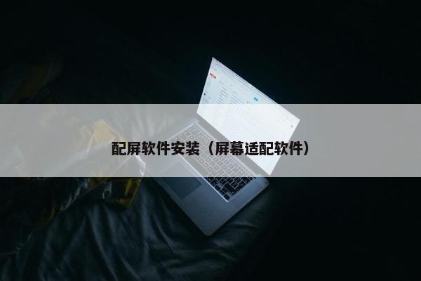配屏软件安装（屏幕适配软件）