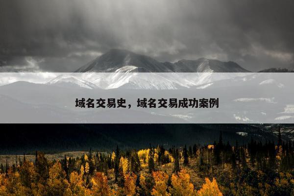 域名交易史，域名交易成功案例