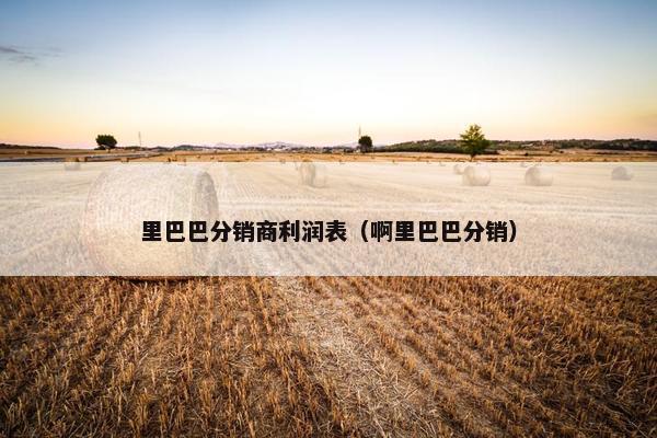 里巴巴分销商利润表（啊里巴巴分销）