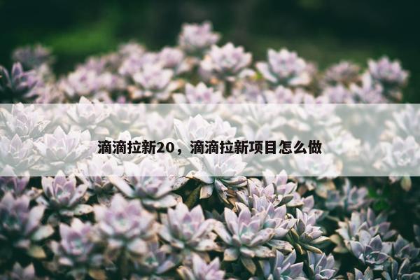 滴滴拉新20，滴滴拉新项目怎么做