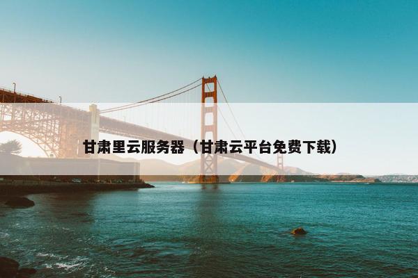 甘肃里云服务器（甘肃云平台免费下载）