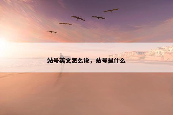 站号英文怎么说，站号是什么