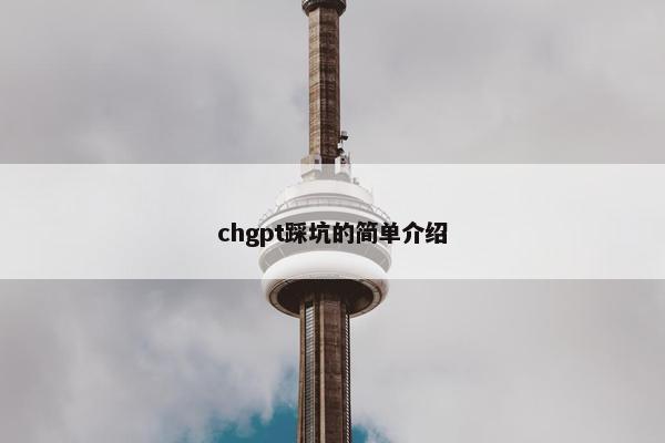 chgpt踩坑的简单介绍