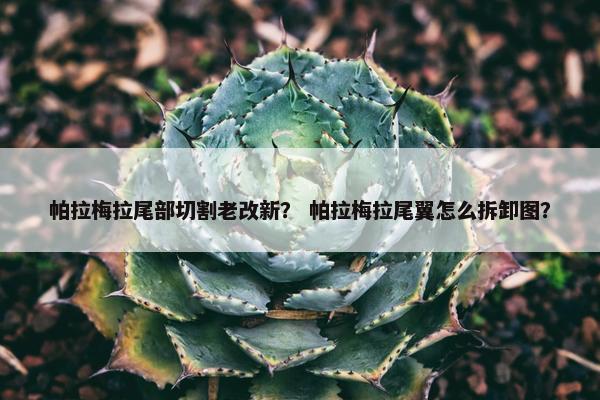 帕拉梅拉尾部切割老改新？ 帕拉梅拉尾翼怎么拆卸图？