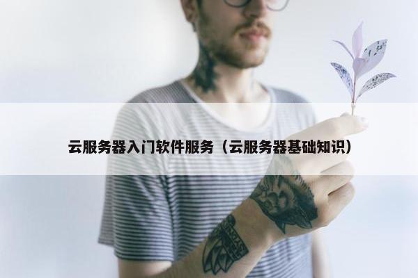 云服务器入门软件服务（云服务器基础知识）