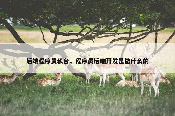 后端程序员私台，程序员后端开发是做什么的