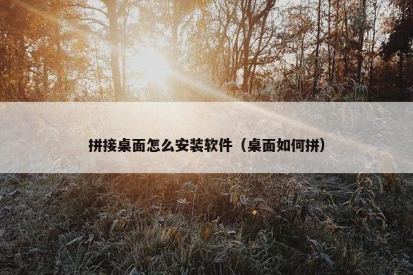 拼接桌面怎么安装软件（桌面如何拼）