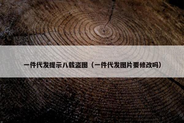 一件代发提示八载盗图（一件代发图片要修改吗）