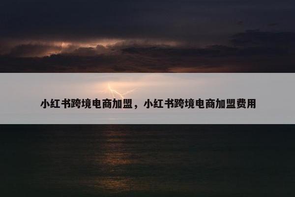 小红书跨境电商加盟，小红书跨境电商加盟费用