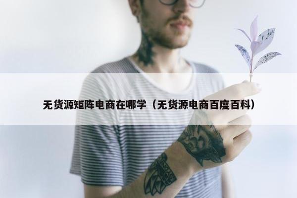 无货源矩阵电商在哪学（无货源电商百度百科）