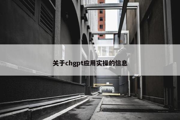 关于chgpt应用实操的信息