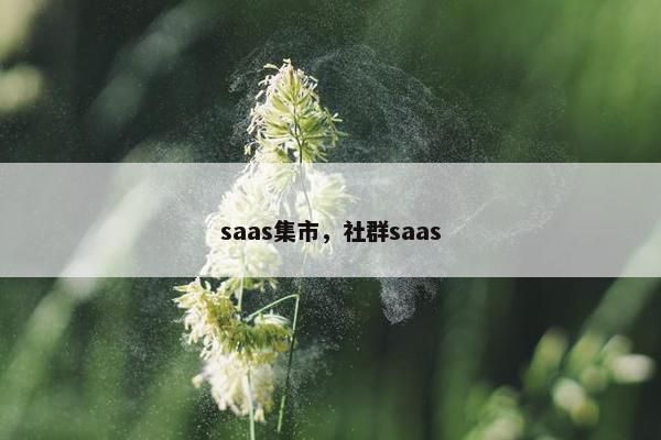 saas集市，社群saas