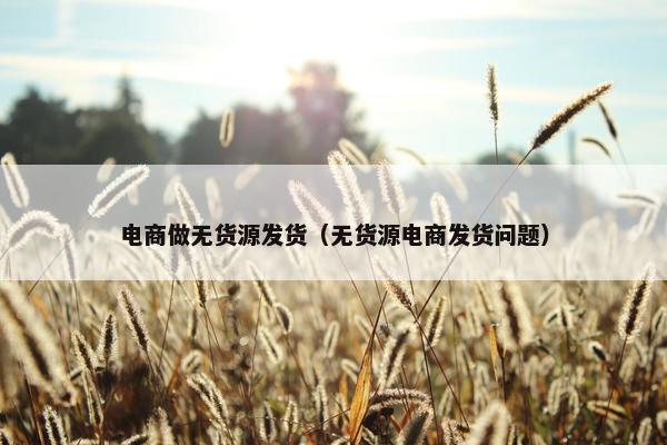 电商做无货源发货（无货源电商发货问题）