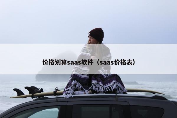 价格划算saas软件（saas价格表）