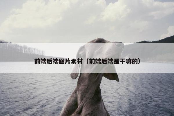 前端后端图片素材（前端后端是干嘛的）