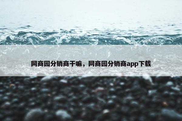 网商园分销商干嘛，网商园分销商app下载