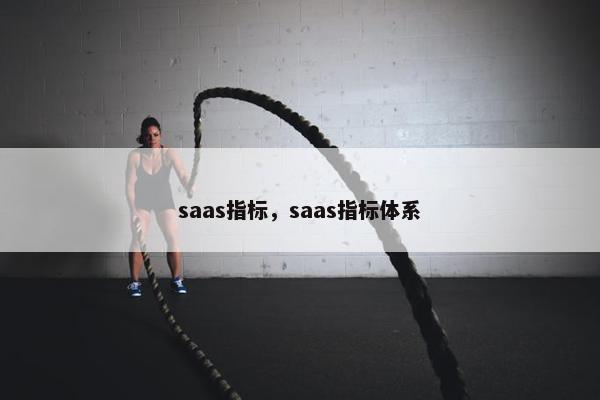 saas指标，saas指标体系