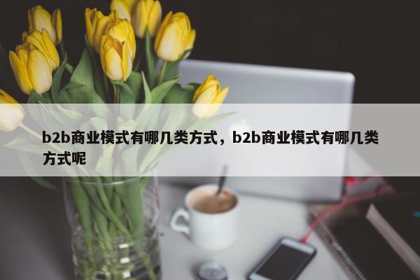 b2b商业模式有哪几类方式，b2b商业模式有哪几类方式呢