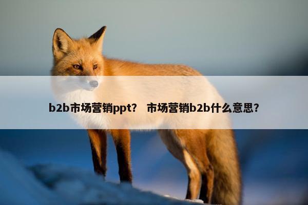 b2b市场营销ppt？ 市场营销b2b什么意思？
