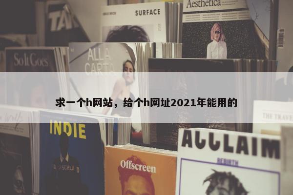求一个h网站，给个h网址2021年能用的
