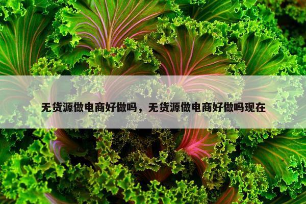 无货源做电商好做吗，无货源做电商好做吗现在