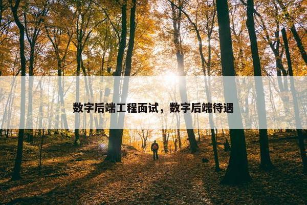数字后端工程面试，数字后端待遇