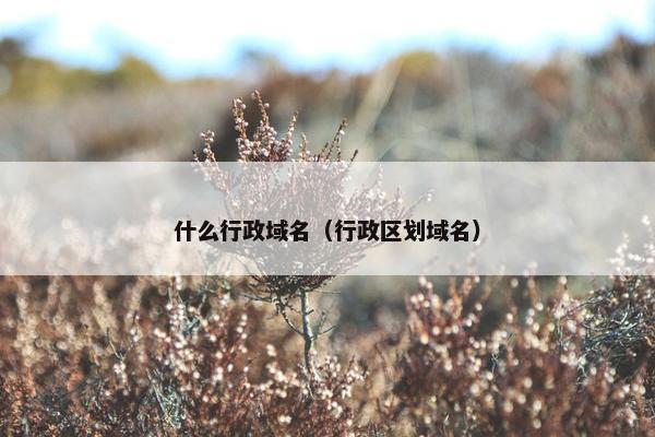 什么行政域名（行政区划域名）