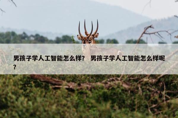 男孩子学人工智能怎么样？ 男孩子学人工智能怎么样呢？