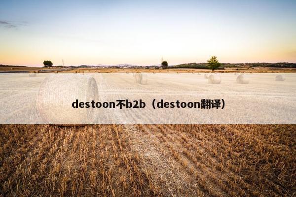 destoon不b2b（destoon翻译）