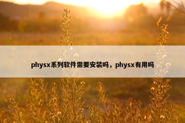 physx系列软件需要安装吗，physx有用吗