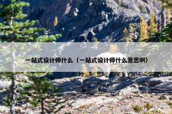一站式设计师什么（一站式设计师什么意思啊）