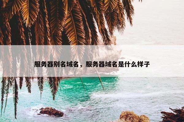 服务器别名域名，服务器域名是什么样子