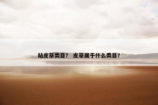 站皮草类目？ 皮草属于什么类目？