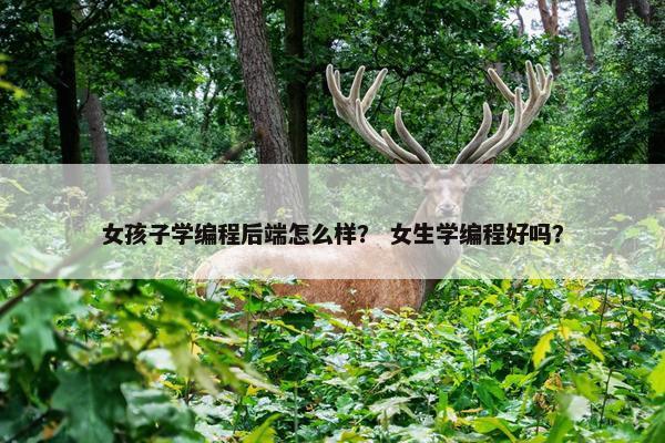 女孩子学编程后端怎么样？ 女生学编程好吗？