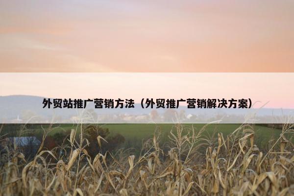 外贸站推广营销方法（外贸推广营销解决方案）
