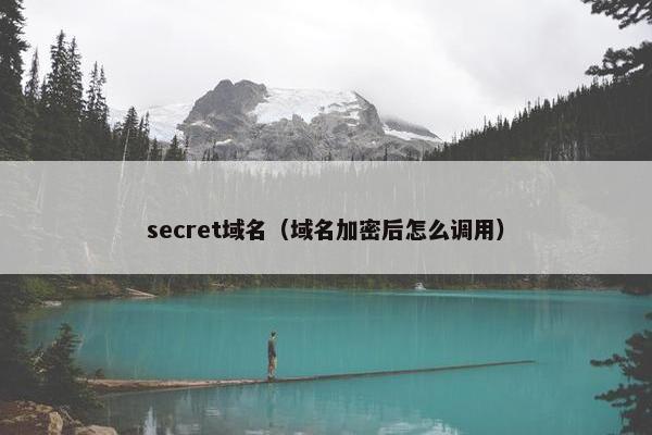 secret域名（域名加密后怎么调用）