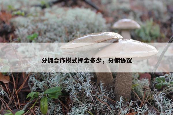 分佣合作模式押金多少，分佣协议