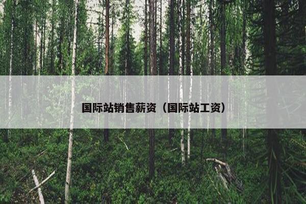 国际站销售薪资（国际站工资）