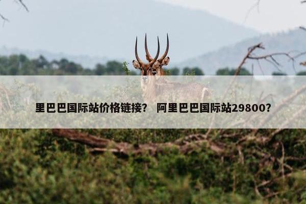 里巴巴国际站价格链接？ 阿里巴巴国际站29800？