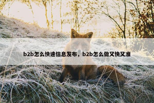 b2b怎么快速信息发布，b2b怎么做又快又准