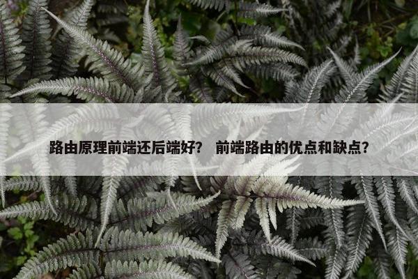 路由原理前端还后端好？ 前端路由的优点和缺点？