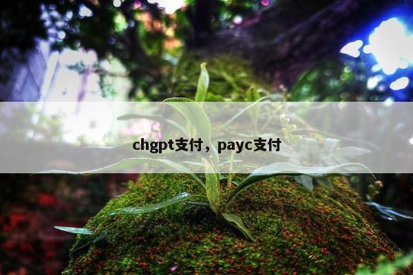 chgpt支付，payc支付