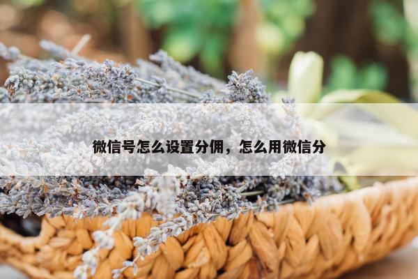 微信号怎么设置分佣，怎么用微信分