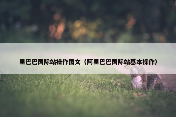 里巴巴国际站操作图文（阿里巴巴国际站基本操作）