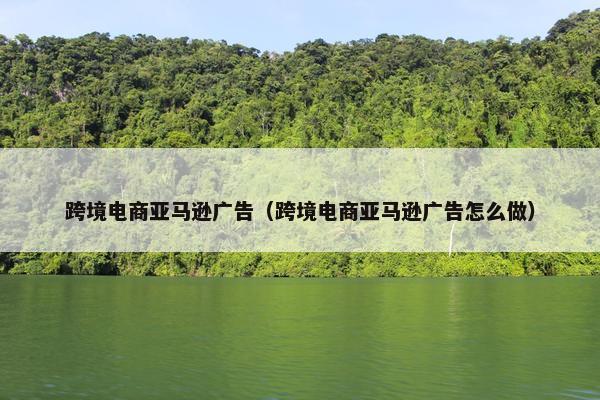 跨境电商亚马逊广告（跨境电商亚马逊广告怎么做）